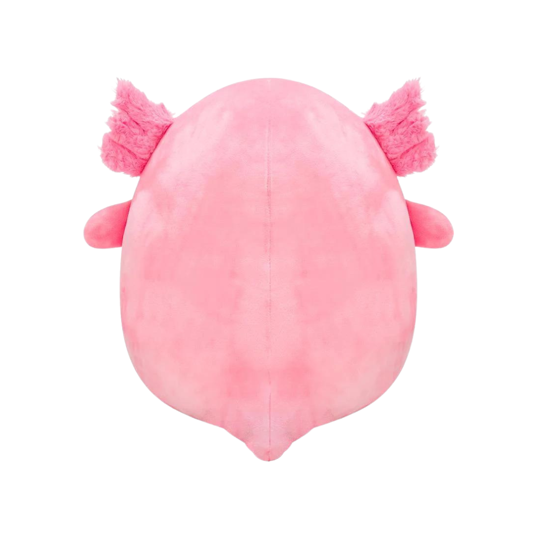 Squishmallows Archie The Axolotl - Little C Land