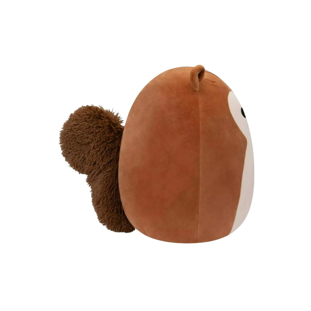 Squishmallows Original Sawyer The Squirrel - Little C Land